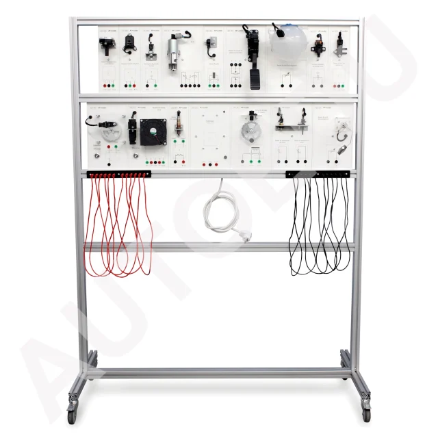 Automotive training stand for car electronics MSAE01