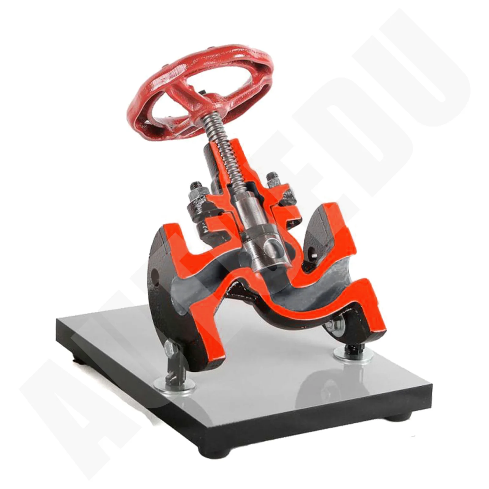 Cutaway steam gate valve Educational Trainer AE513122S